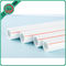 Tubo plástico durable de PPR/tubo que sondea plástico PN10 - PN25 longitud de 16 - de 110m m